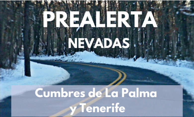 el-gobierno-declara-la-prealerta-por-nevadas-en-la-palma-y-tenerife