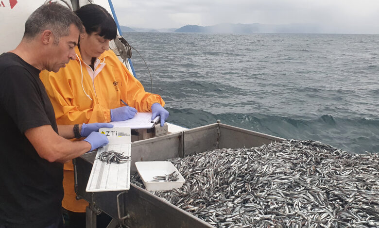 ligera-disminucion-sobre-la-biomasa-media-de-juveniles-de-anchoa-aunque-superior-a-la-registrada-en-las-temporadas-2019,-2020-y-2021