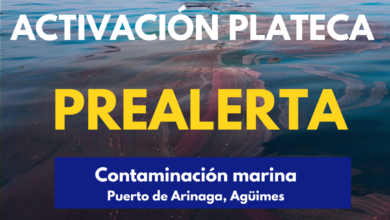 el-gobierno-de-canarias-activa-el-plateca-en-situacion-de-prealerta-por-contaminacion-marina-en-gran-canaria