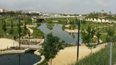 alicante-planifica-la-construccion-de-tres-nuevos-parques-inundables