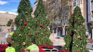 alicante-tapiza-de-flores-y adornos navidenos-espacios-emblematicos-de-la-ciudad