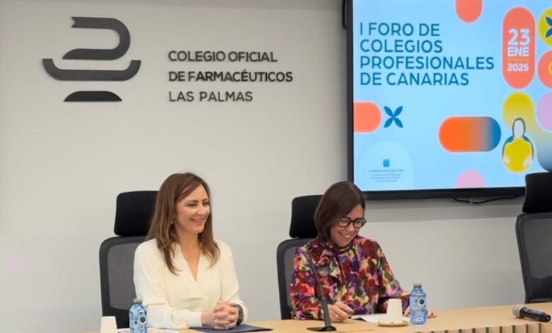 nieves-lady-barreto-refuerza-la-relacion-con-los-colegios-profesionales-con-la-organizacion-del-i-foro-de-canarias