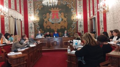 alicante-premiara-a-las-entidades-sociales-que-fomentan-la-igualdad-en-el-municipio