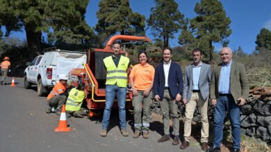 zapata:-“las-labores-de-prevencion-son-clave-para-evitar-que-se-produzcan-incendios-forestales-en-el-hierro»