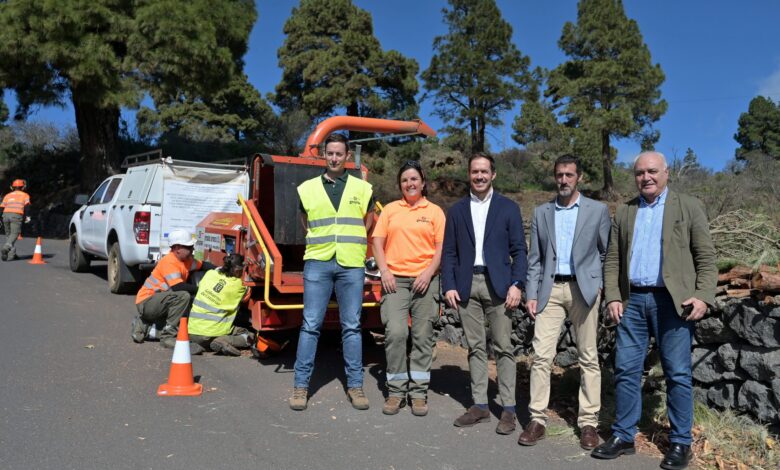 zapata:-“las-labores-de-prevencion-son-clave-para-evitar-que-se-produzcan-incendios-forestales-en-el-hierro»