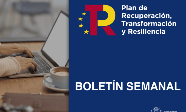 ​​boletin-del-plan-de-recuperacion-(21-diciembre-–-03-enero-2025)