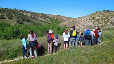 castilla-la-mancha-celebra-el-dia-mundial-de-la-educacion-ambiental-con-actividades-gratuitas-para-todos-los-publicos