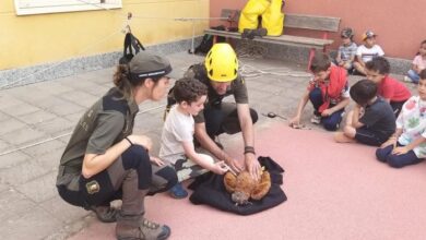 el-cuerpo-de-agentes-medioambientales-de-cuenca-impartio-79-jornadas-de-educacion-ambiental-en-2024-con-cerca-de-3.000-participantes