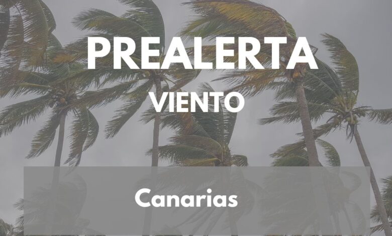 el-gobierno-actualiza-la-situacion-de-prealerta-por-viento-y-la-amplia-a-toda-canarias