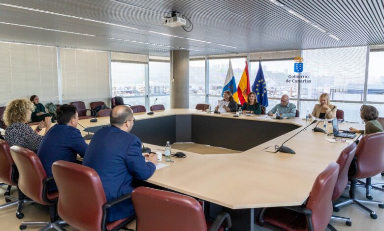 el-gobierno-convoca-la-comision-mixta-de-justicia-para-abordar-la-implantacion-de-la-ley-de-eficiencia-en-canarias