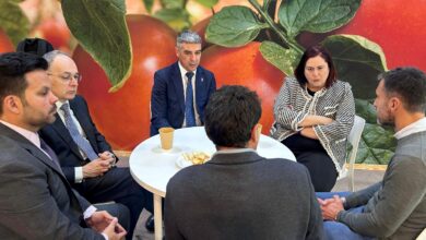 la-papaya-de-canarias,-el-producto-hortofruticola-cuya-comercializacion-exterior-no-deja-de-crecer