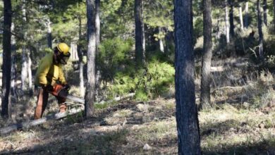 el-gobierno-regional-invertira-cerca-de-10-millones-de-euros-en-el-tratamiento-de-los-montes-de-cuenca-para-prevenir-incendios-forestales