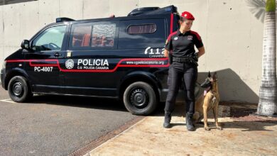 la-consejeria-de-presidencia-imparte-un-curso-de-primeros-auxilios-para-las-unidades-caninas-de-la-policia-canaria