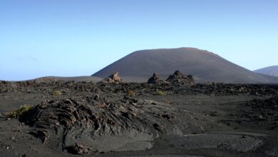 transicion-ecologica-y-la-ulpgc-impulsan-practicas-formativas-en-los-parques-nacionales-de-canarias