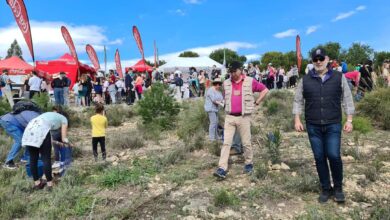 alicante-amplia-la-reforestacion-del-monte-orgegia-con-una-nueva-campana-el-1-de-marzo