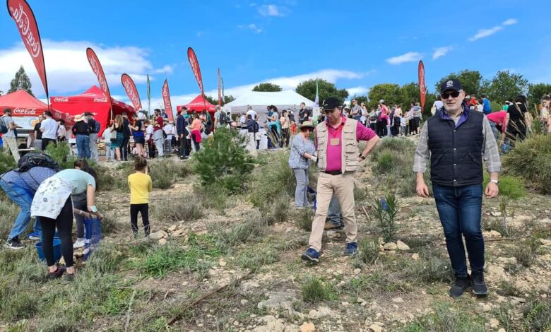 alicante-amplia-la-reforestacion-del-monte-orgegia-con-una-nueva-campana-el-1-de-marzo