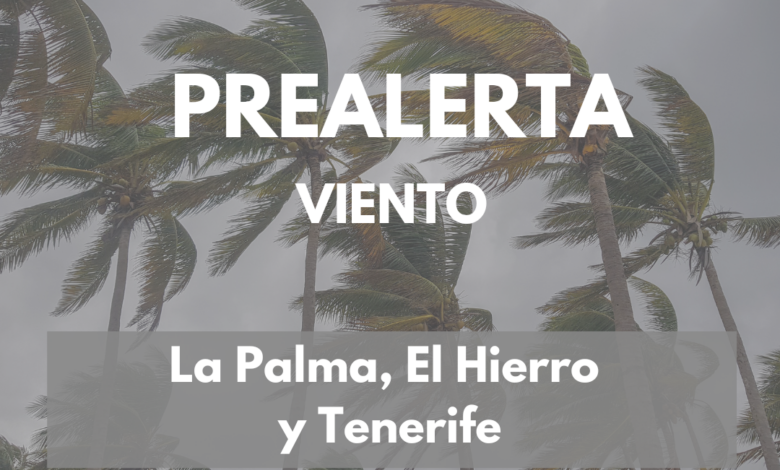 el-gobierno-declara-la-situacion-de-prealerta-por-viento-en-la-palma,-el-hierro-y-tenerife