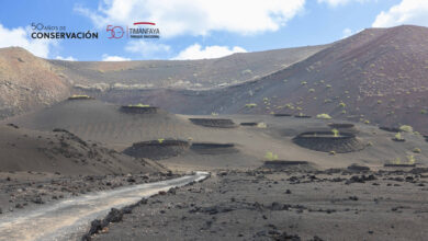 el-parque-nacional-de-timanfaya-estrena-nueva-web-para-reforzar-su-trabajo-de-divulgacion-y-conservacion 