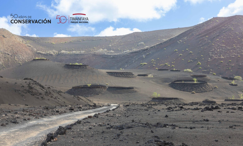 el-parque-nacional-de-timanfaya-estrena-nueva-web-para-reforzar-su-trabajo-de-divulgacion-y-conservacion 