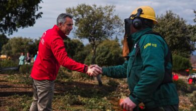 la-comunidad-de-madrid-adecuara-este-ano-un-28,6%-mas-de-superficie-de-sus-montes-para-la-prevencion-de-incendios-forestales