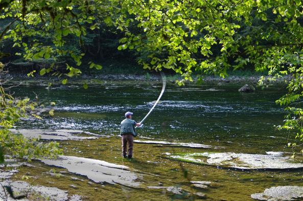 el-gobierno-regional-establece-la-nueva-orden-de-vedas-de-pesca-para-2025-con-medidas-concretas-para-el-control-de-especies-invasoras