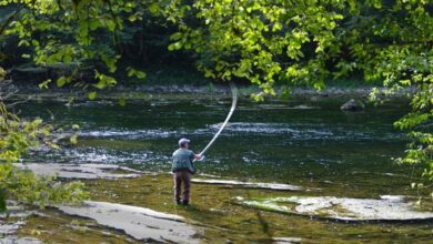 el-gobierno-regional-establece-la-nueva-orden-de-vedas-de-pesca-para-2025-con-medidas-concretas-para-el-control-de-especies-invasoras