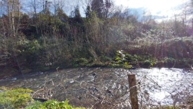 ura-ha-demolido-el-azud-de-trankaz-en-el-arroyo-portu-de-hernani-y-restaurado-la-ribera-derecha