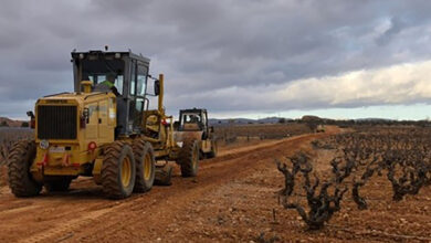 el-ministerio-de-agricultura,-pesca-y-alimentacion-realiza-un-nuevo-pago-a-1.136-agricultores-y-ganaderos-afectados-por-la-dana