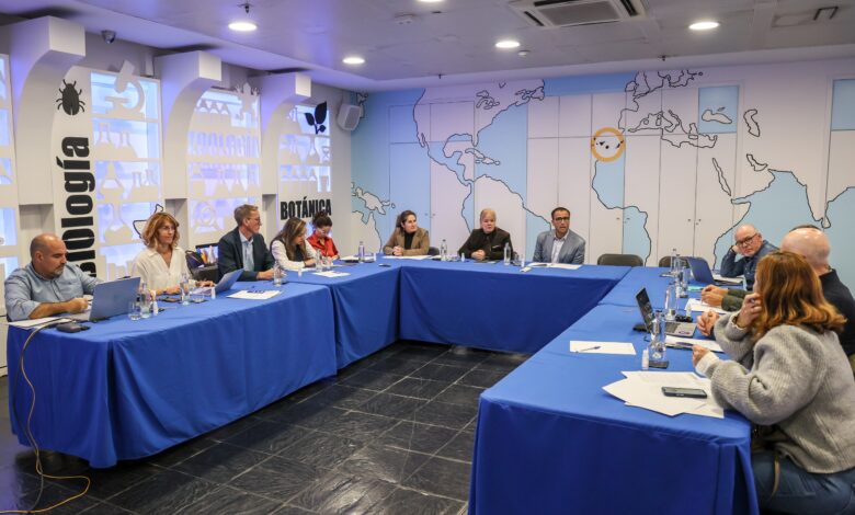 el-observatorio-canario-de-la-actividad-fisica-y-el-deporte-celebra-su-reunion-constitutiva