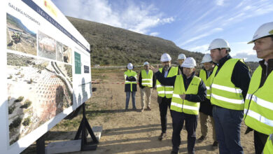 oscar-puente-anuncia-un-ave-madrugador-entre-granada-y-madrid-desde-finales-de-abril