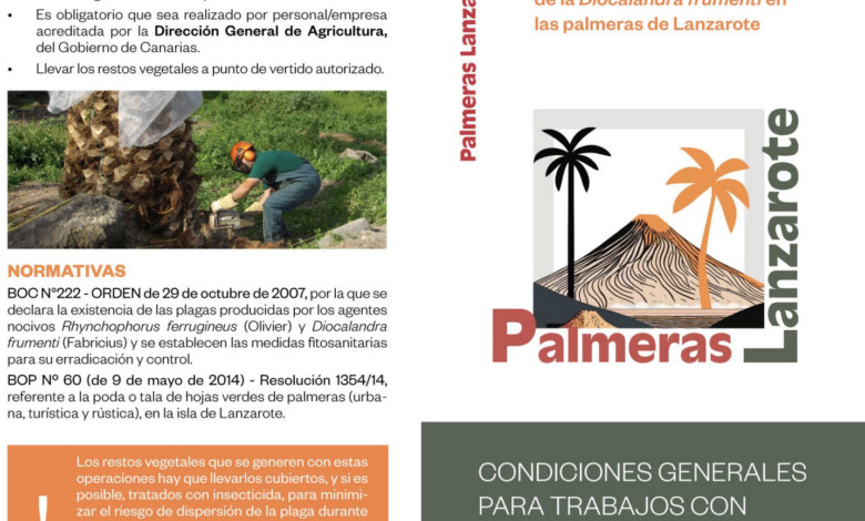 el-proyecto-palmeras-lanzarote-lanza-un-nuevo-triptico-informativo-para-promover-su-conservacion-en-la-isla