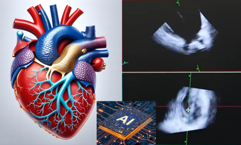 el-hospital-publico-ramon-y-cajal-usa-la-ecografia-en-4d-de-forma-pionera-para-hacer-cirugias-sin-corazon-abierto