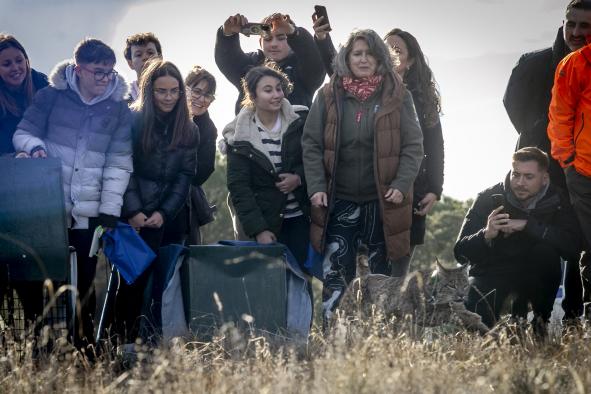 el-gobierno-regional-organiza-actividades-gratuitas-y-familiares-el-1-y-el-8-de-marzo-para-dar-a-conocer-la-vida-silvestre-y-la-biodiversidad-de-castilla-la-mancha