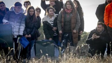 el-gobierno-regional-organiza-actividades-gratuitas-y-familiares-el-1-y-el-8-de-marzo-para-dar-a-conocer-la-vida-silvestre-y-la-biodiversidad-de-castilla-la-mancha