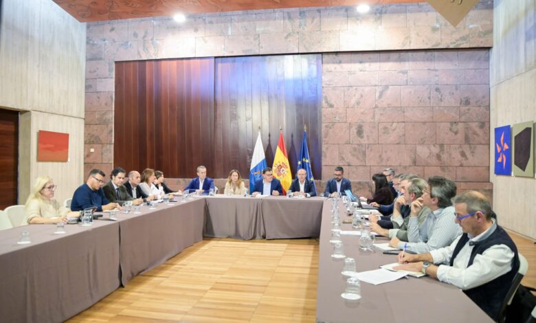 la-actualizacion-de-la-ley-del-suelo-es-“una-oportunidad”-para-los-cabildos-en-la-ordenacion-del-territorio
