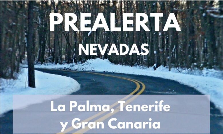 el-gobierno-declara-la-situacion-de-prealerta-por-nevadas-en-la-palma,-tenerife-y-gran-canaria