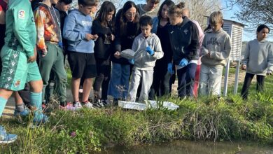 estanques-en-colegios:-recursos-educativos-clave-para-fomentar-la-competencia-cientifica-desde-la-practica