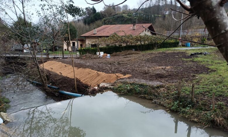 retirados-174-m³-de-bambu-de-la-regata-bekoerreka-en-el-barrio-eitzaga-de-zaldibar