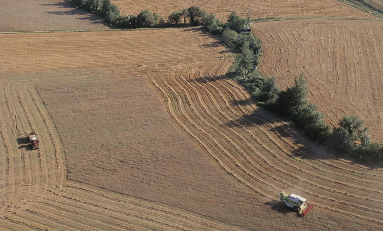 el-gobierno-vasco-finaliza-el-primer-pago-de-la-pac´24,-superando-los-30´2-millones-de-euros-en-ayudas-al-sector-agrario