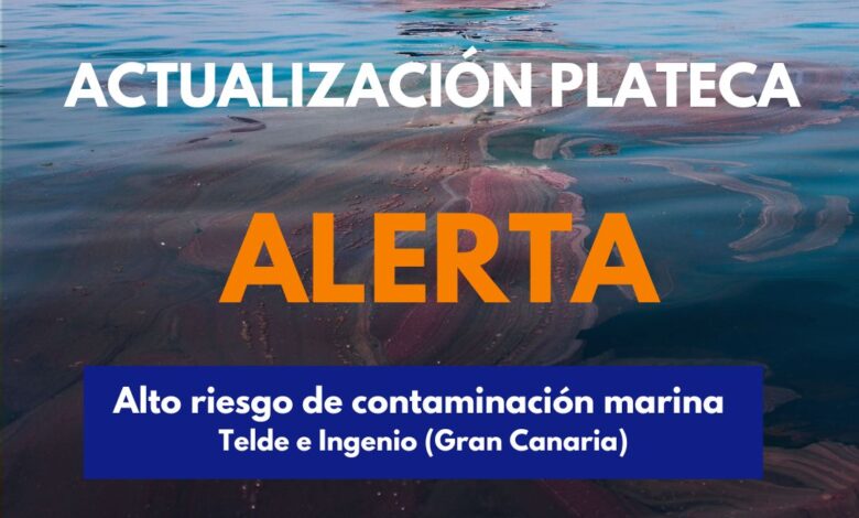 el-gobierno-actualiza-la-situacion-y-declara-la-alerta-por-alto-riesgo-de-contaminacion-marina-en-gran-canaria