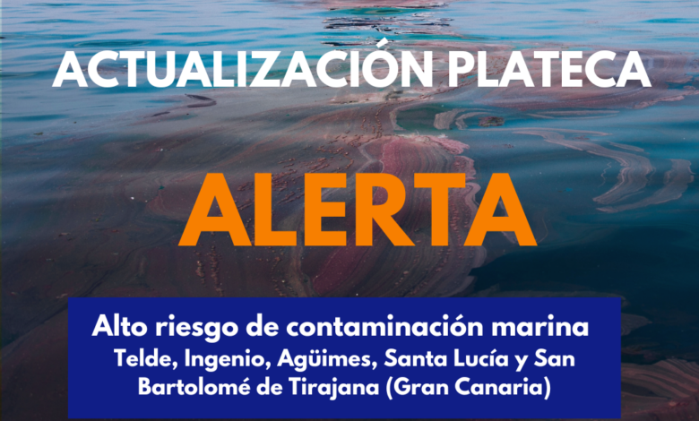 el-gobierno-amplia-la-alerta-por-riesgo-de-contaminacion-marina-a-cinco-municipios-de-gran-canaria