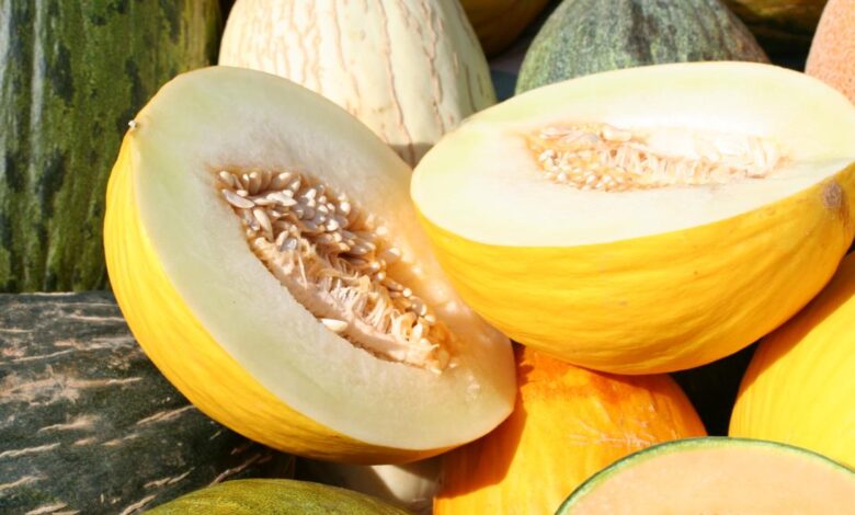 la-comunidad-de-madrid-estudia-aprovechar-los-subproductos-de-sandia-y-melon-como-ingredientes-de-nuevos-lacteos-saludables