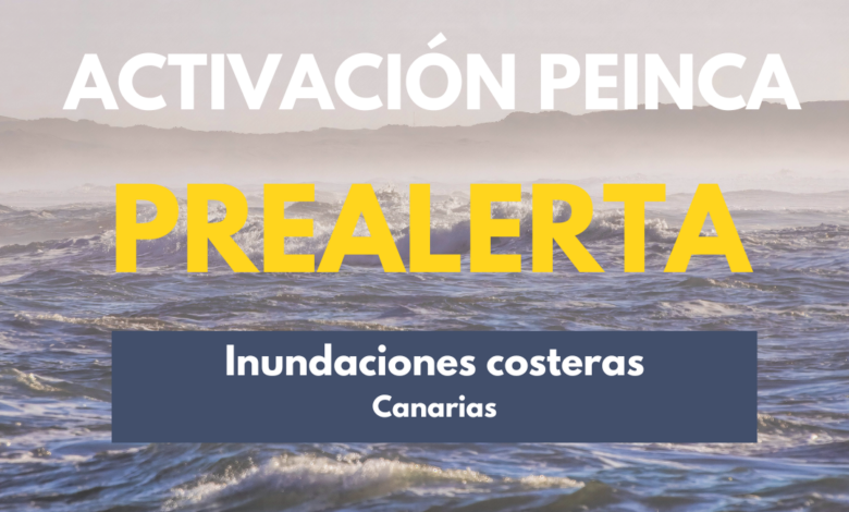 el-gobierno-declara-la-situacion-de-prealerta-por-riesgo-de-inundaciones-costeras-en-canarias