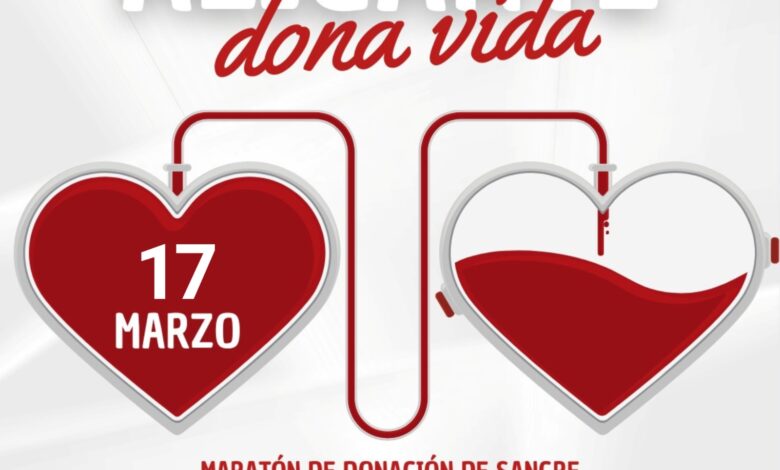 el-espacio-seneca-acoge-este-lunes-la-octava-maraton-de-donaciones-de-sangre-de-alicante