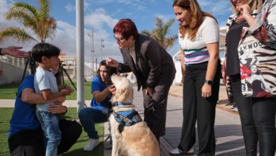 candelaria-delgado-entrega-a-benjamin-y-yogui-la-primera-chapa-acreditativa-de-perro-de-asistencia