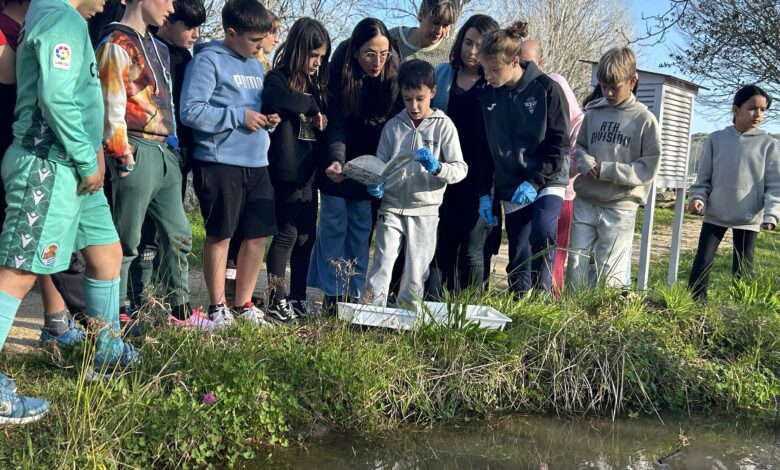 la-comision-europea-reconoce-iniciativas-educativas-de-euskadi- 