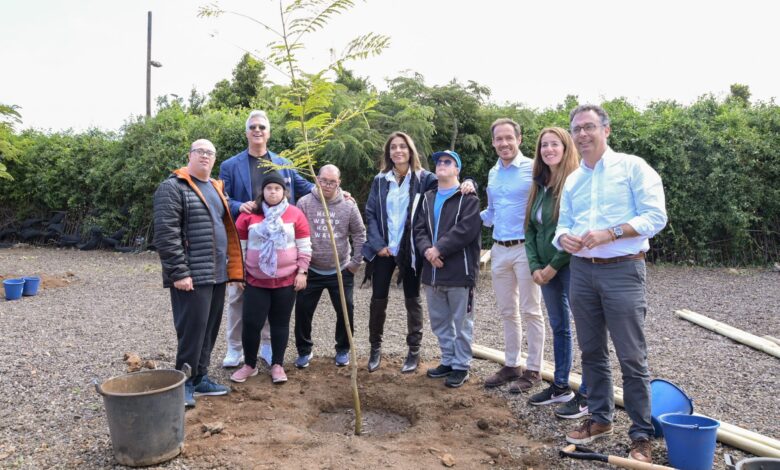 transicion-celebra-el-dia-del-arbol-con-plantaciones-que-recuerdan-su-apuesta-para-incluir-mas-zonas-verdes
