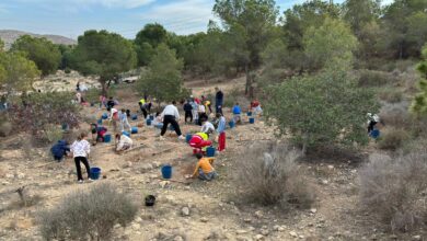 alicante-celebra-el-dia-del-arbol-con-un-programa-de-actividades-de-reforestacion