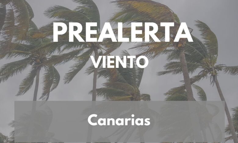 el-gobierno-declara-la-situacion-de-prealerta-por-viento-en-toda-canarias