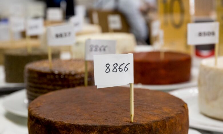 seis-quesos-canarios-aspiran-a-convertirse-en-el-mejor-de-espana-durante-el-salon-gourmets-de-madrid